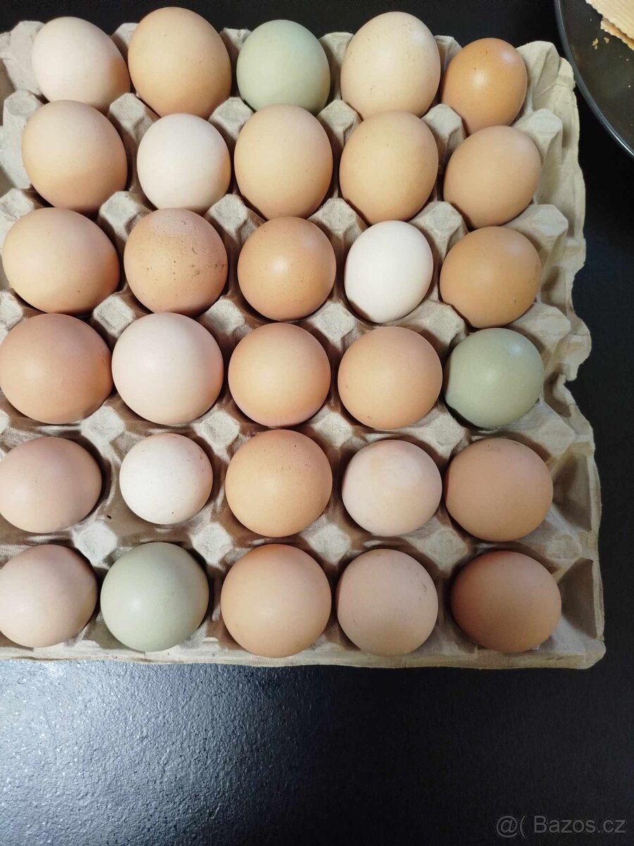 Vajíčka - nad 60 vajec 4Kč ks