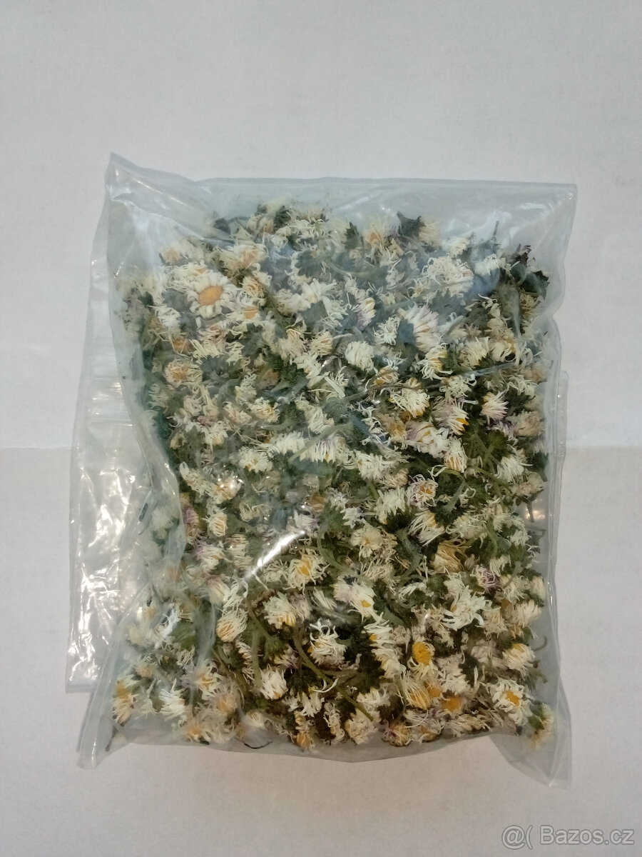 Prodám 20 gramů sušených celých květů SEDMIKRÁSKY OBECNÉ