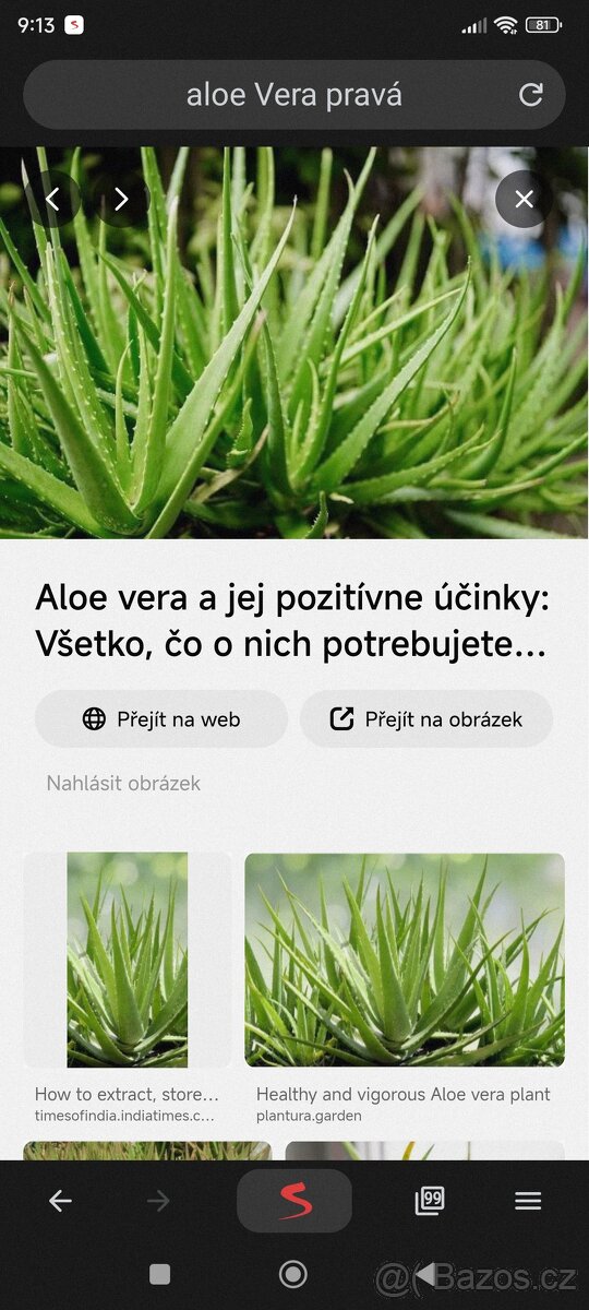 Pravá Aloe Vera
