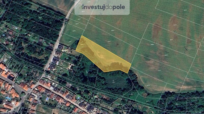 Prodej pole v k.ú. Kostelec nad Labem