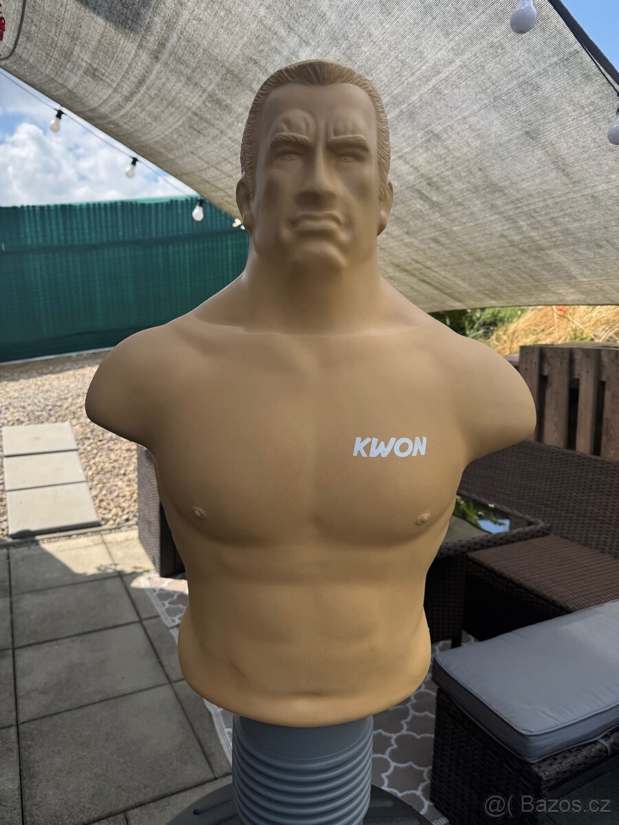 Boxovací panák kwon