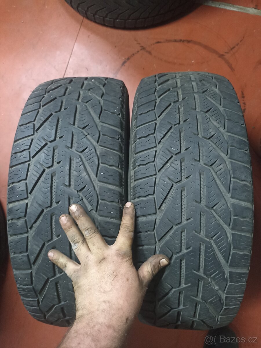 Zimní kormoran 195/55 r15