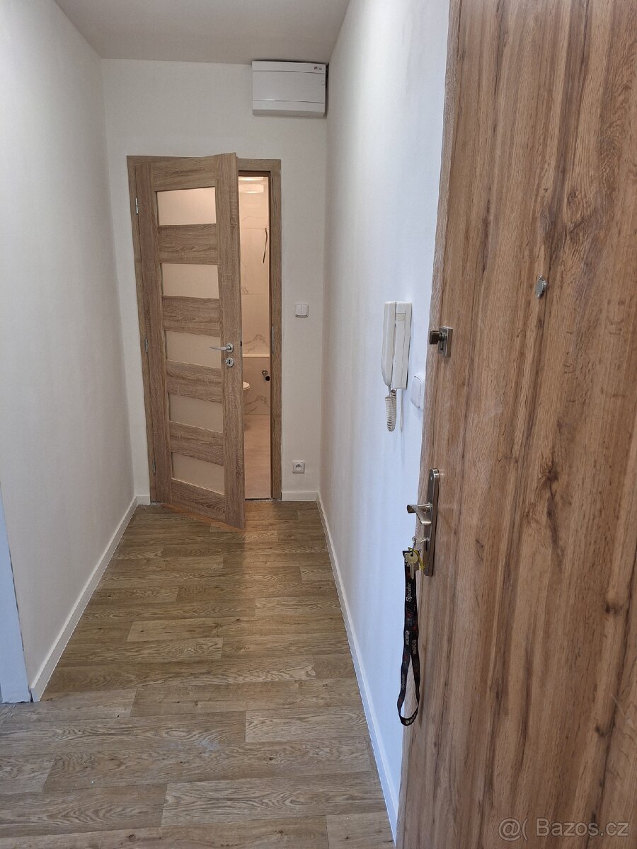 Světlý byt 2+1 v OV po rekonstrukci, 45 m², Dubina