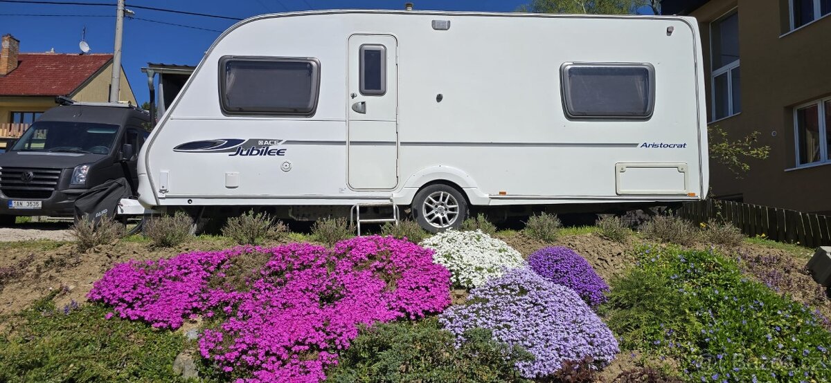 Ace jubilee aristocrat