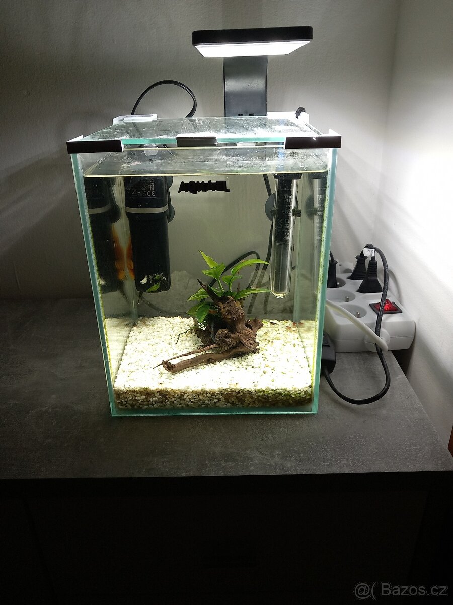 Akvarijní set-krevetárium