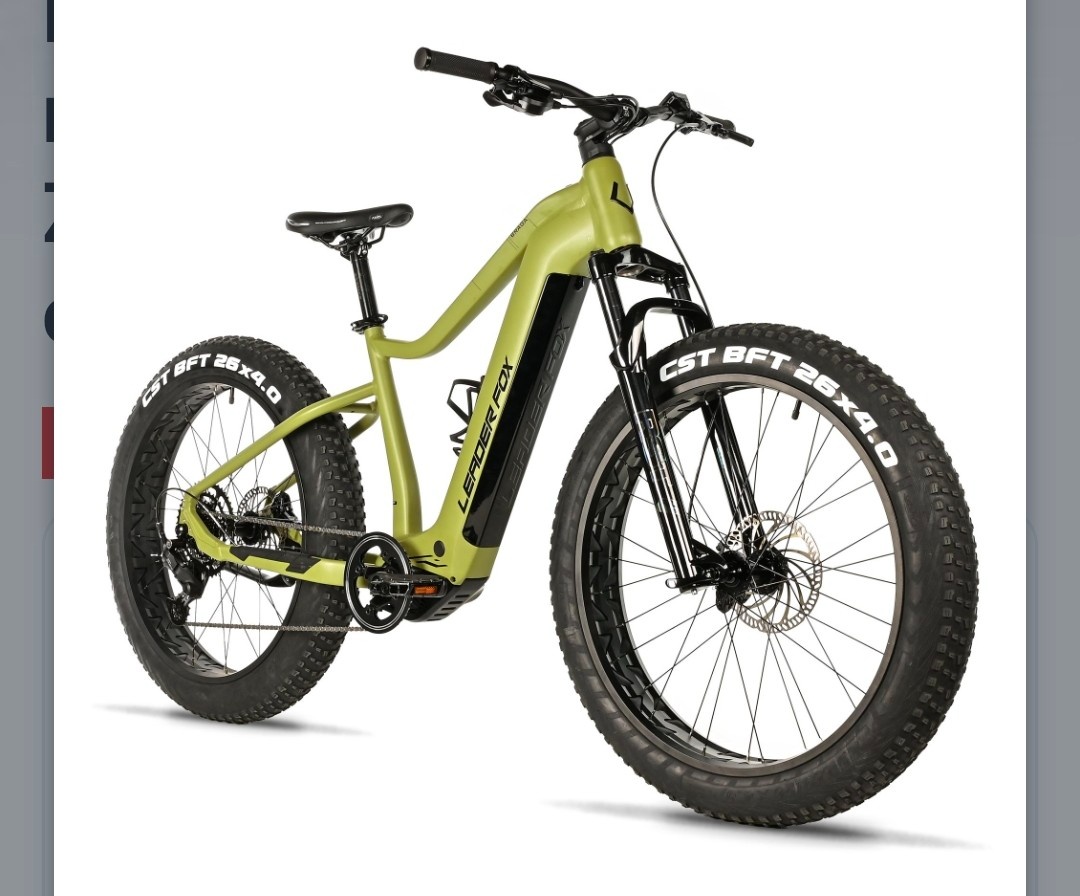 Elektro Fatbike