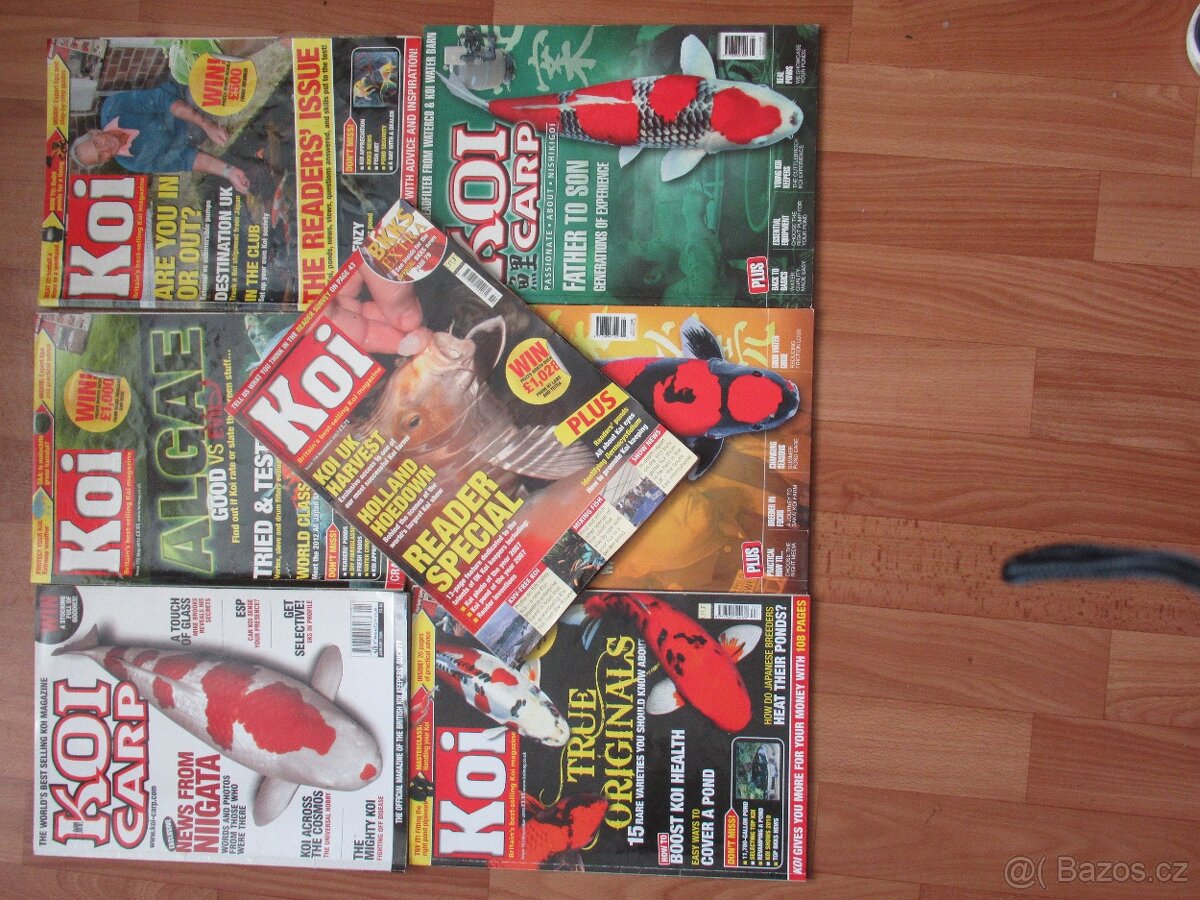 nabízím časopisy KOI a KOI CARP