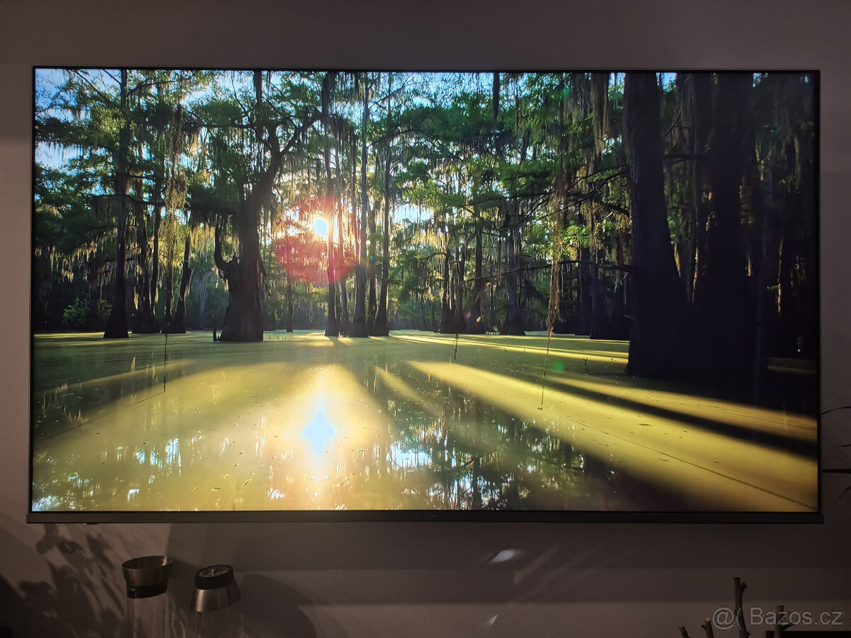 Televize Panasonic 65"