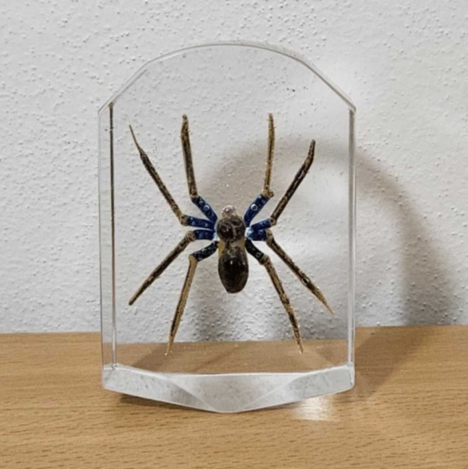 STAROŽITNÉ BROUŠENÉ TĚŽÍTKO - PAVOUK