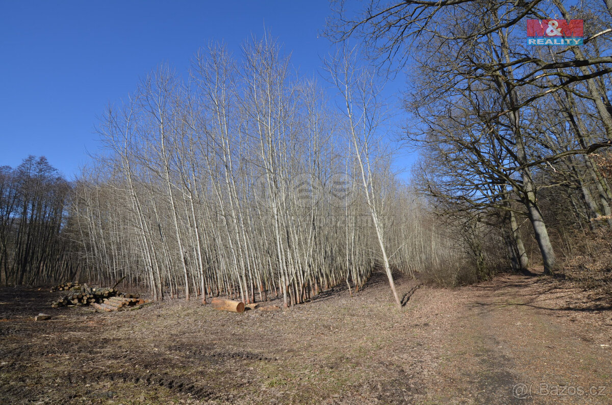 Prodej pole, 15467 m², Popůvky