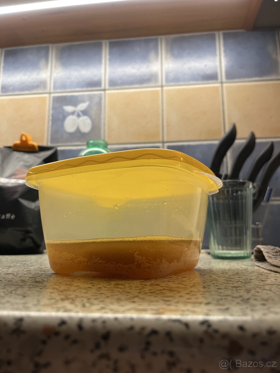Kombucha