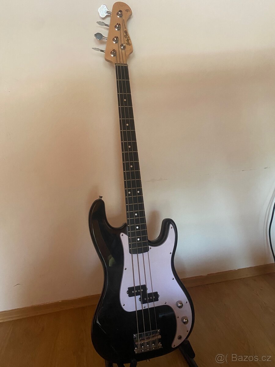 Basa