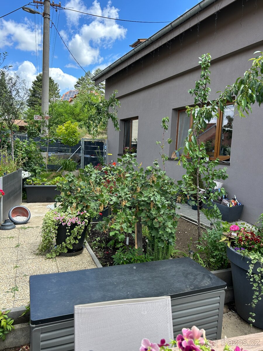 Prodej rodinného domu 235 m², pozemek 192 m² Antonínská, Dol
