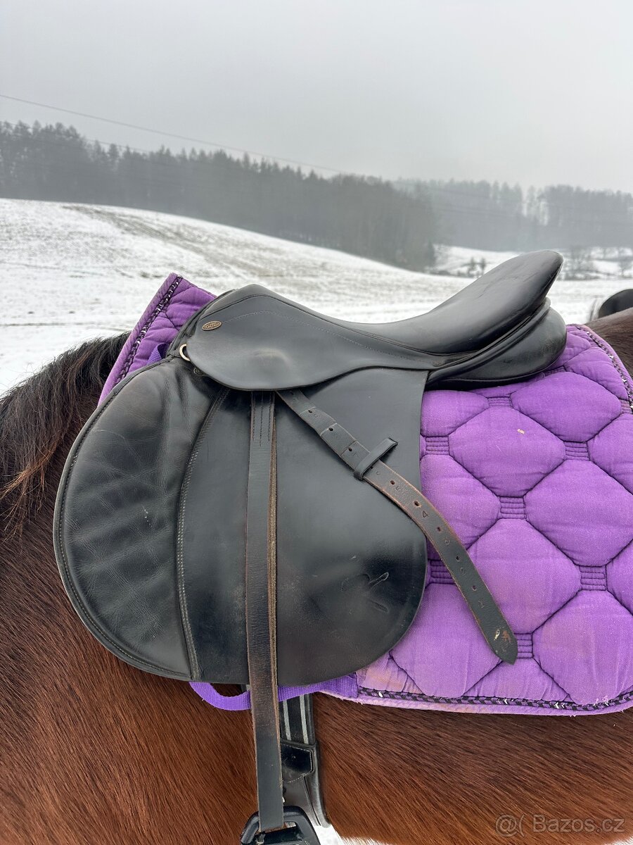 Sedlo Kentaur Priamos