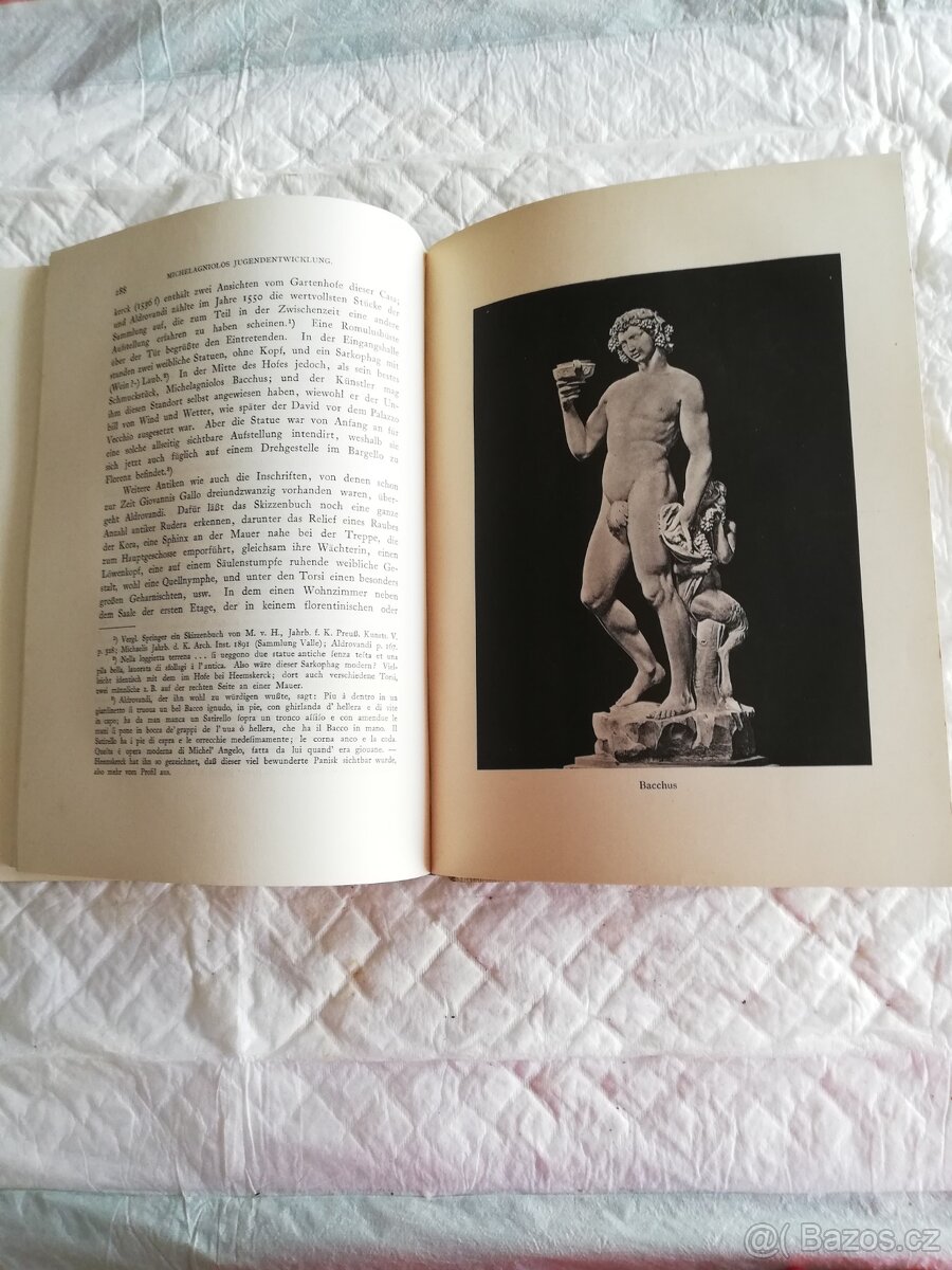 Michelangelo Buonarroti - text je německy