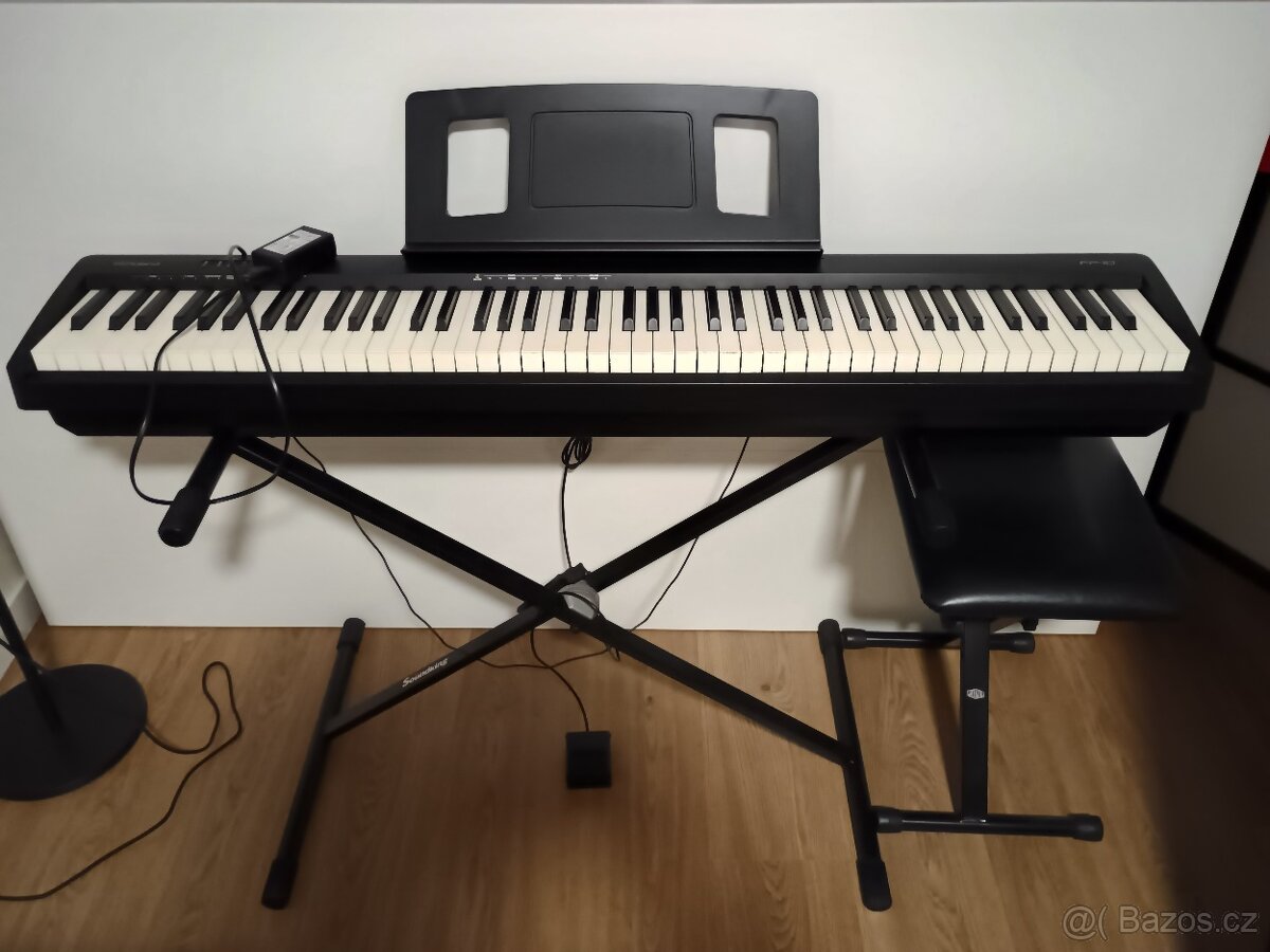 Roland FP-10 SET 2