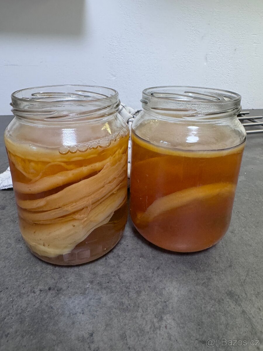 Kombucha