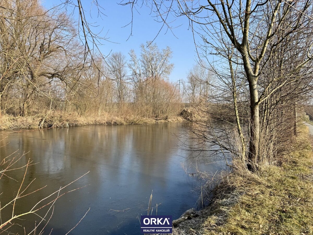 Pronájem rybník, 6 501 m2 - Bystročice
