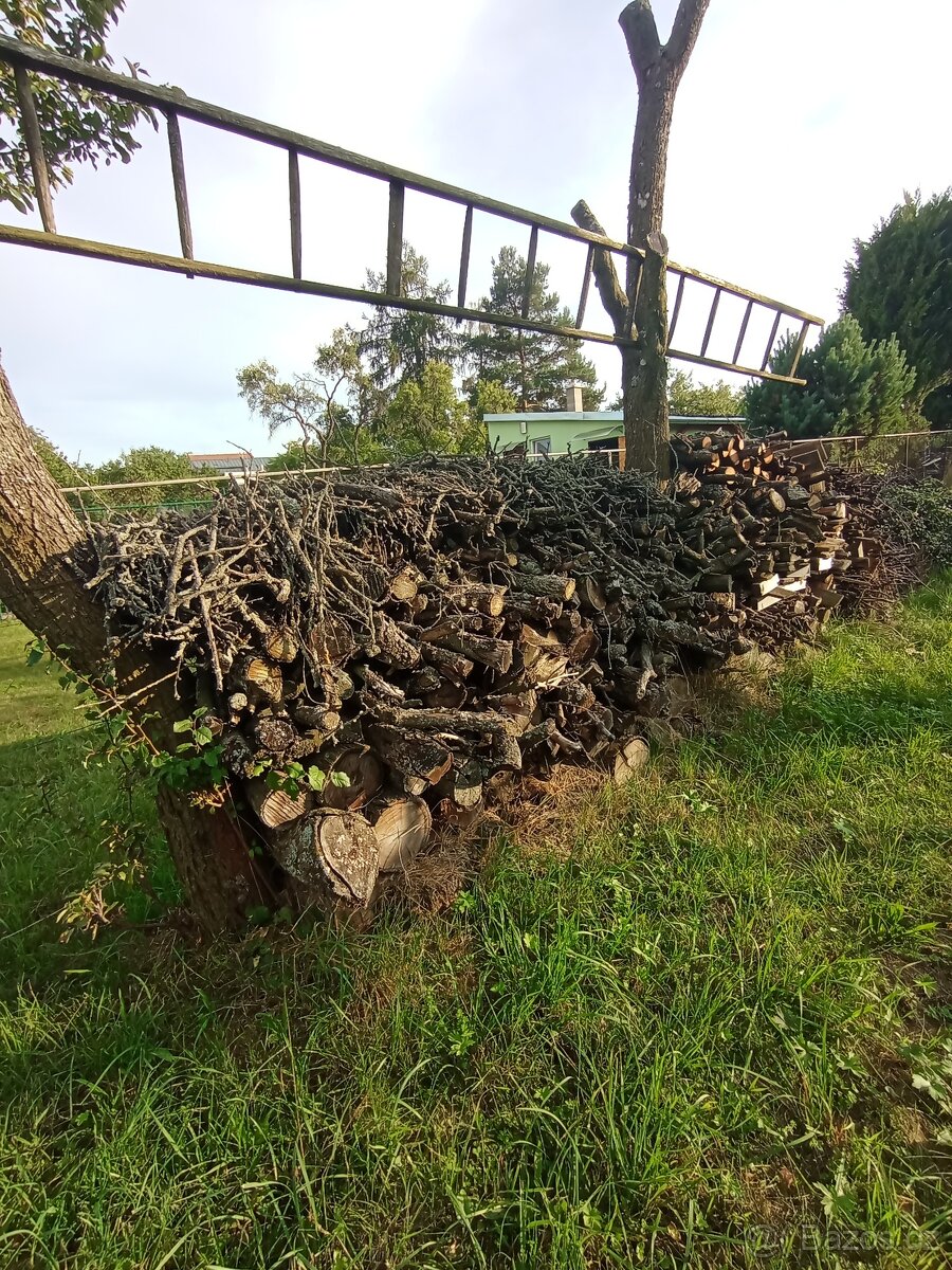 Dřevo na topení