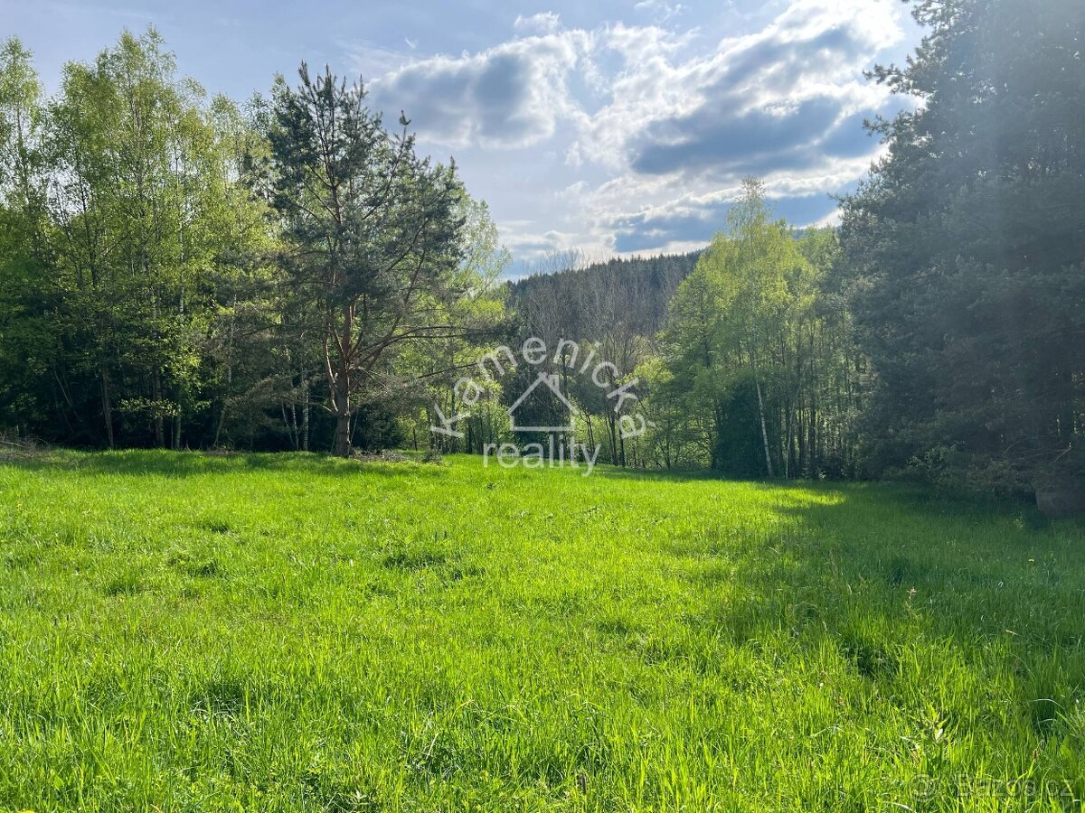 Prodej stavebního pozemku, Černá v Pošumaví