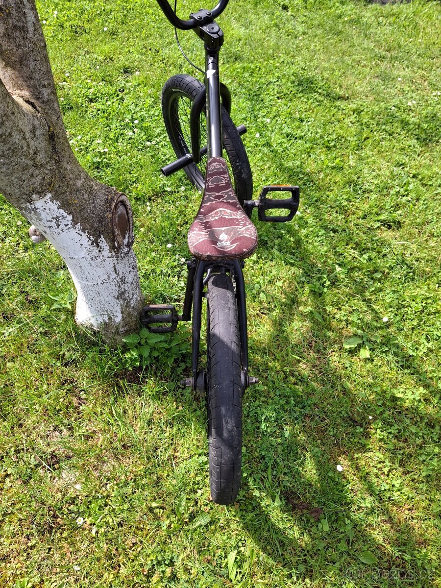 Bmx+2 begy