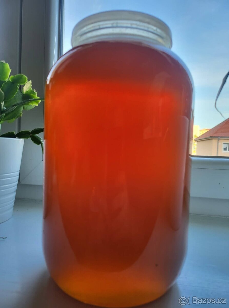 Med lesní a květový přímo od včelaře
