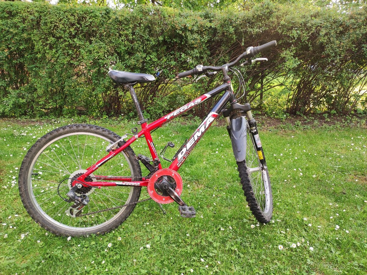 Dětské horské kolo Dema Pegas 24M