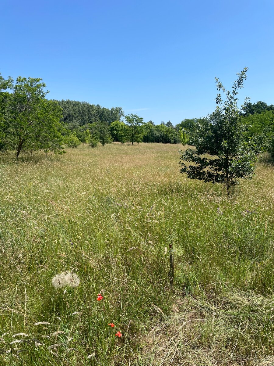 Pastva pro kone 20x200m
