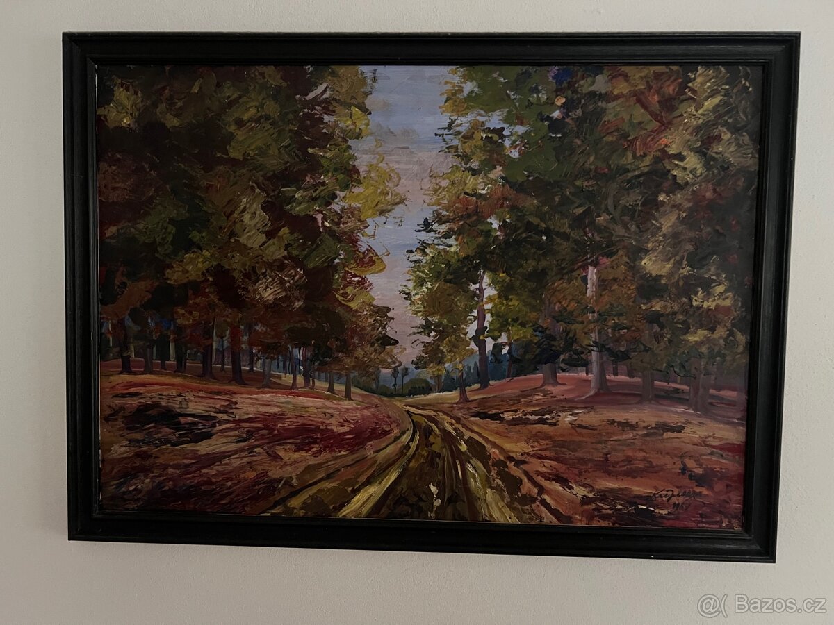 Srdce stezkaře