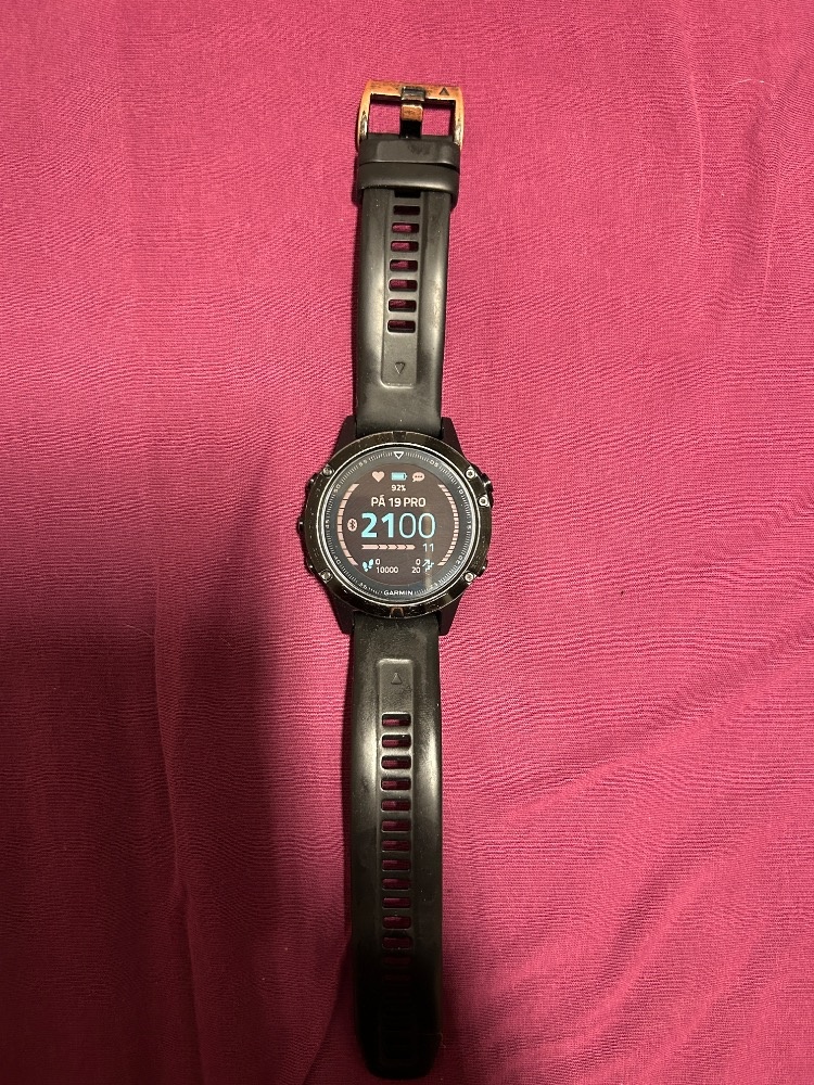 Garmin Fenix 5 Sapphire