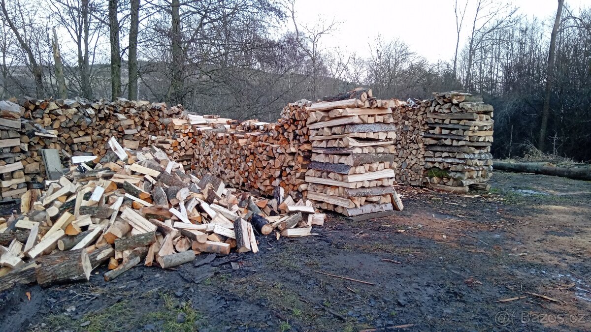 palivové dřevo