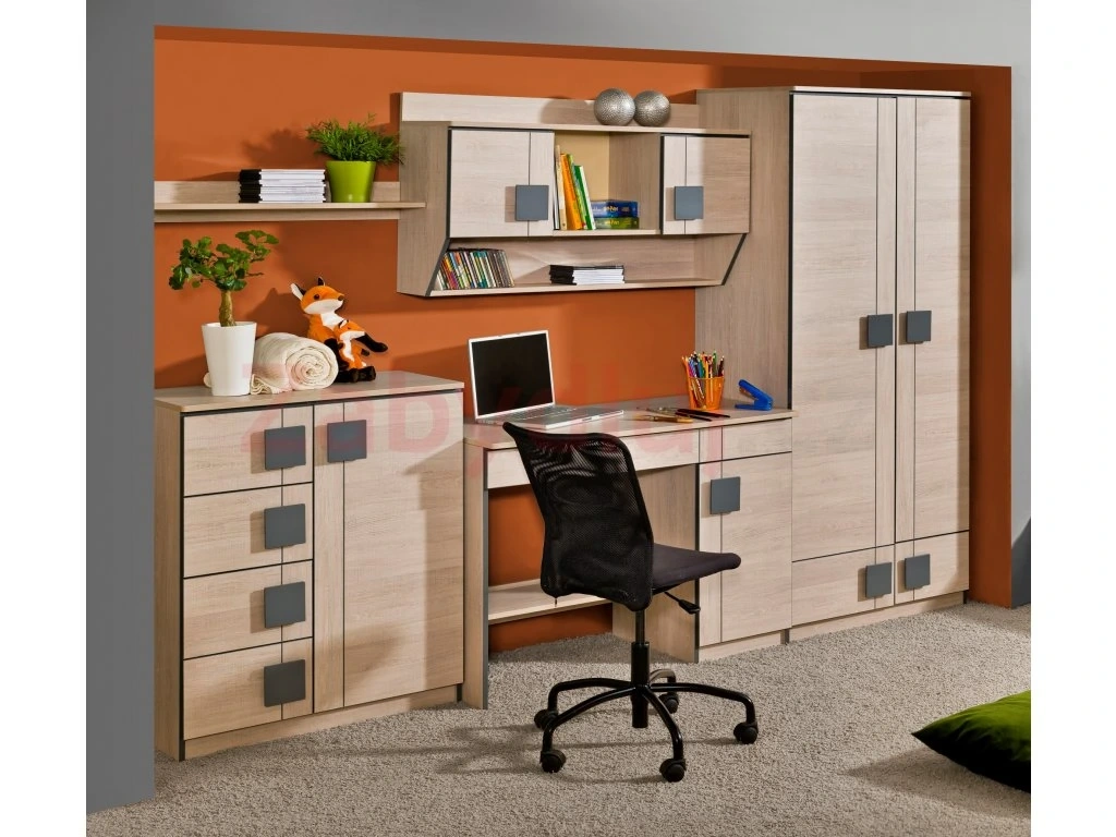 Dětský/studentský pokoj