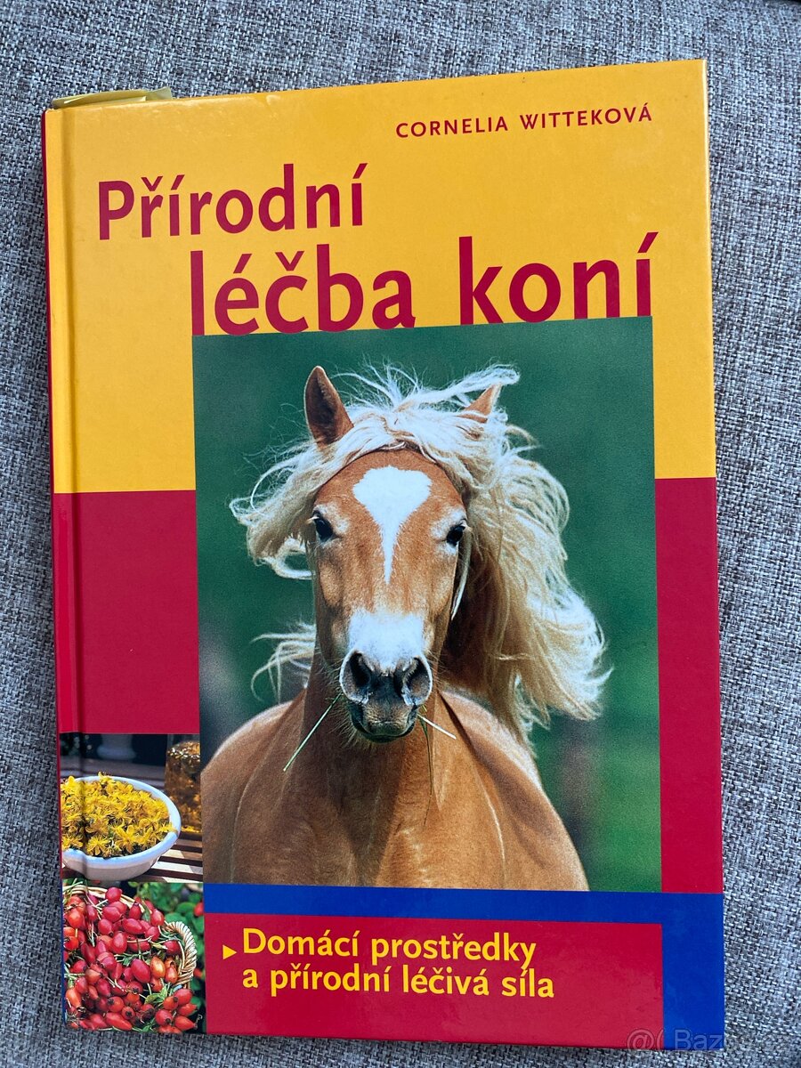 Přírodní léčba koní