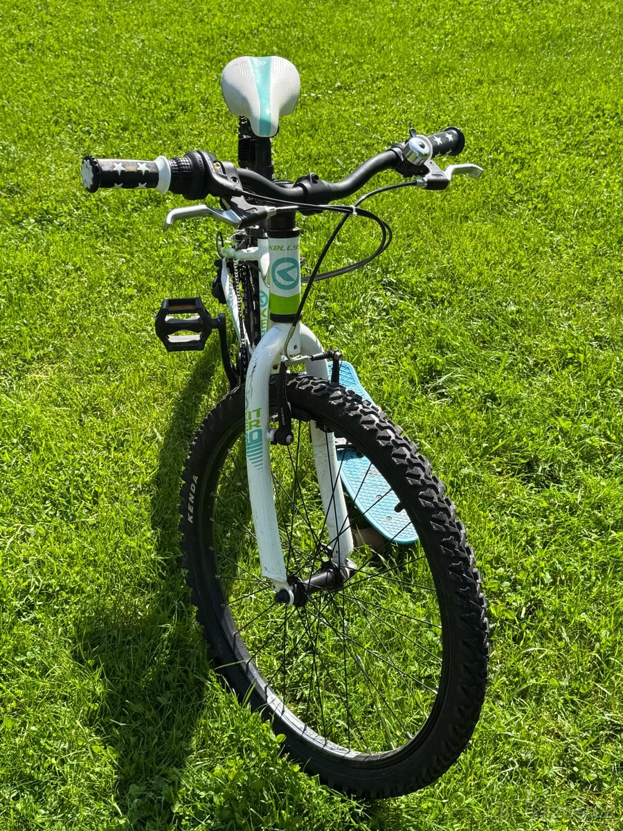 Kellys kitter 30 24"