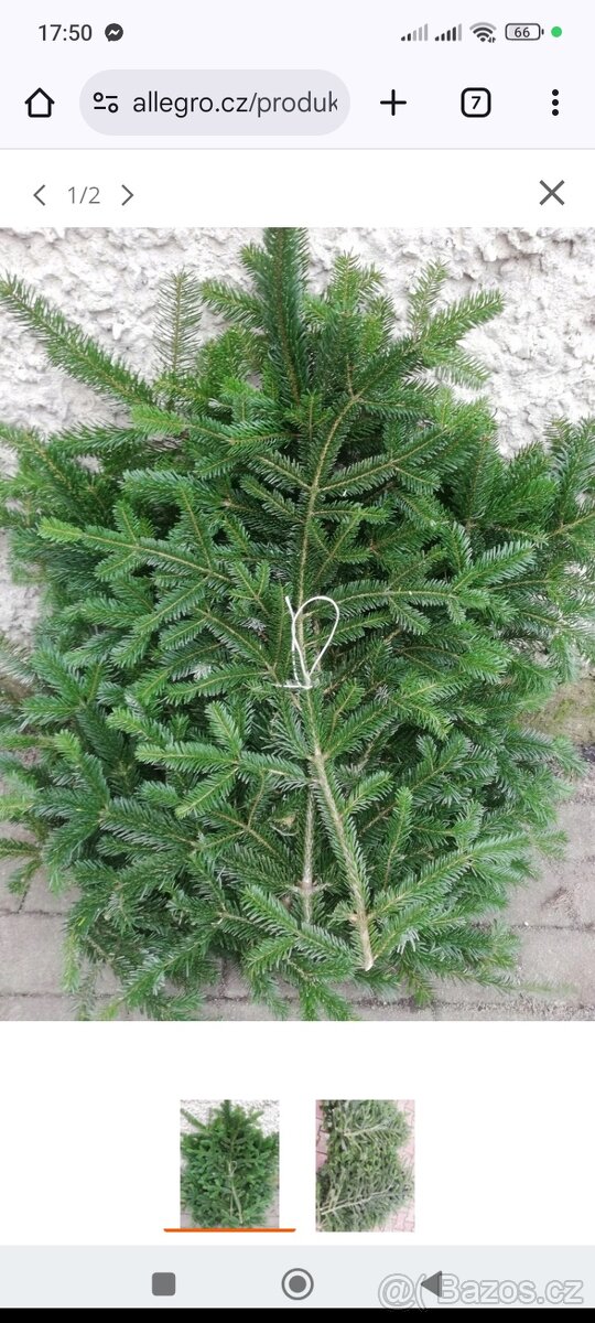 Sháním jedlové větve/četinu na vánoční věnce