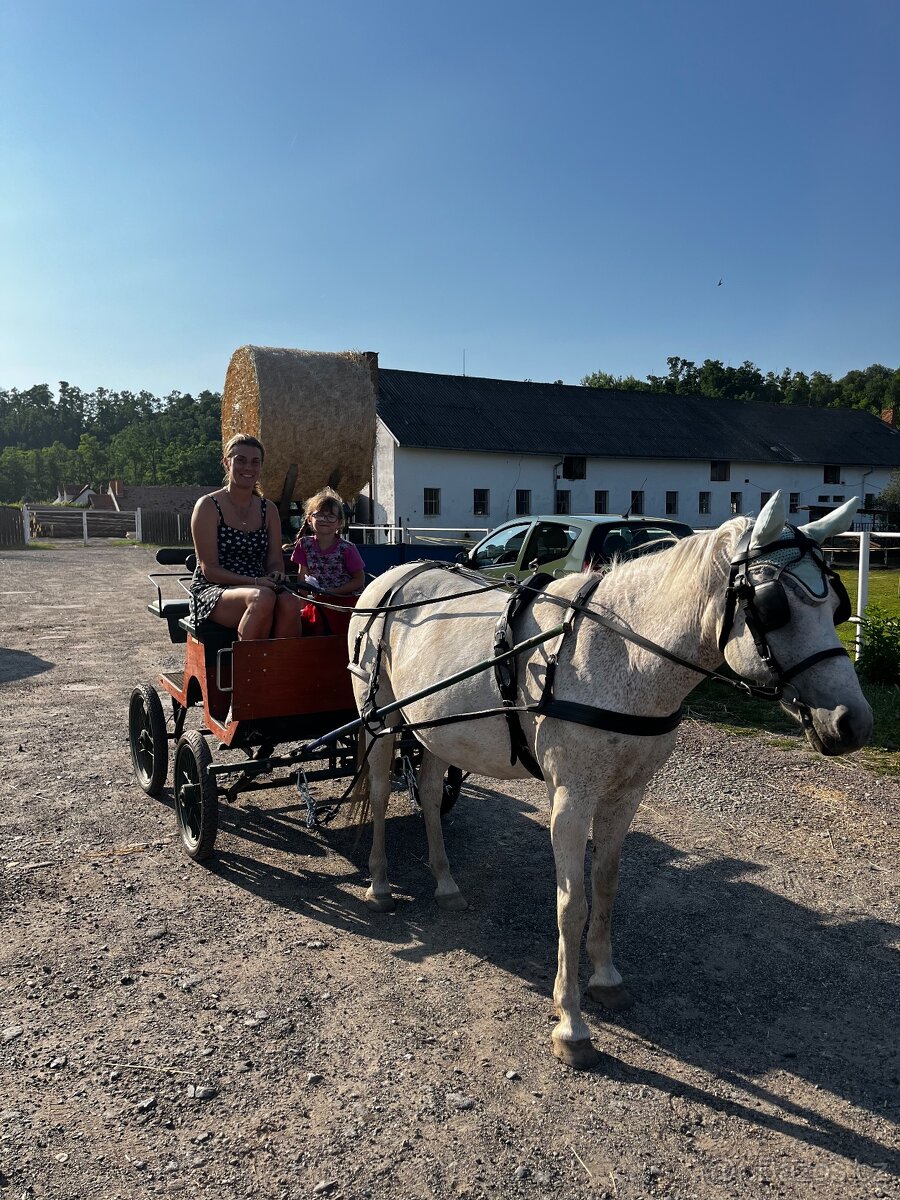 Postroj na ponika