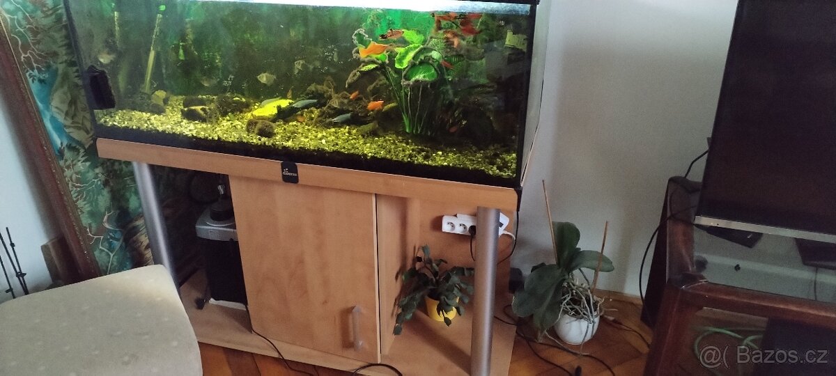 Akvarium