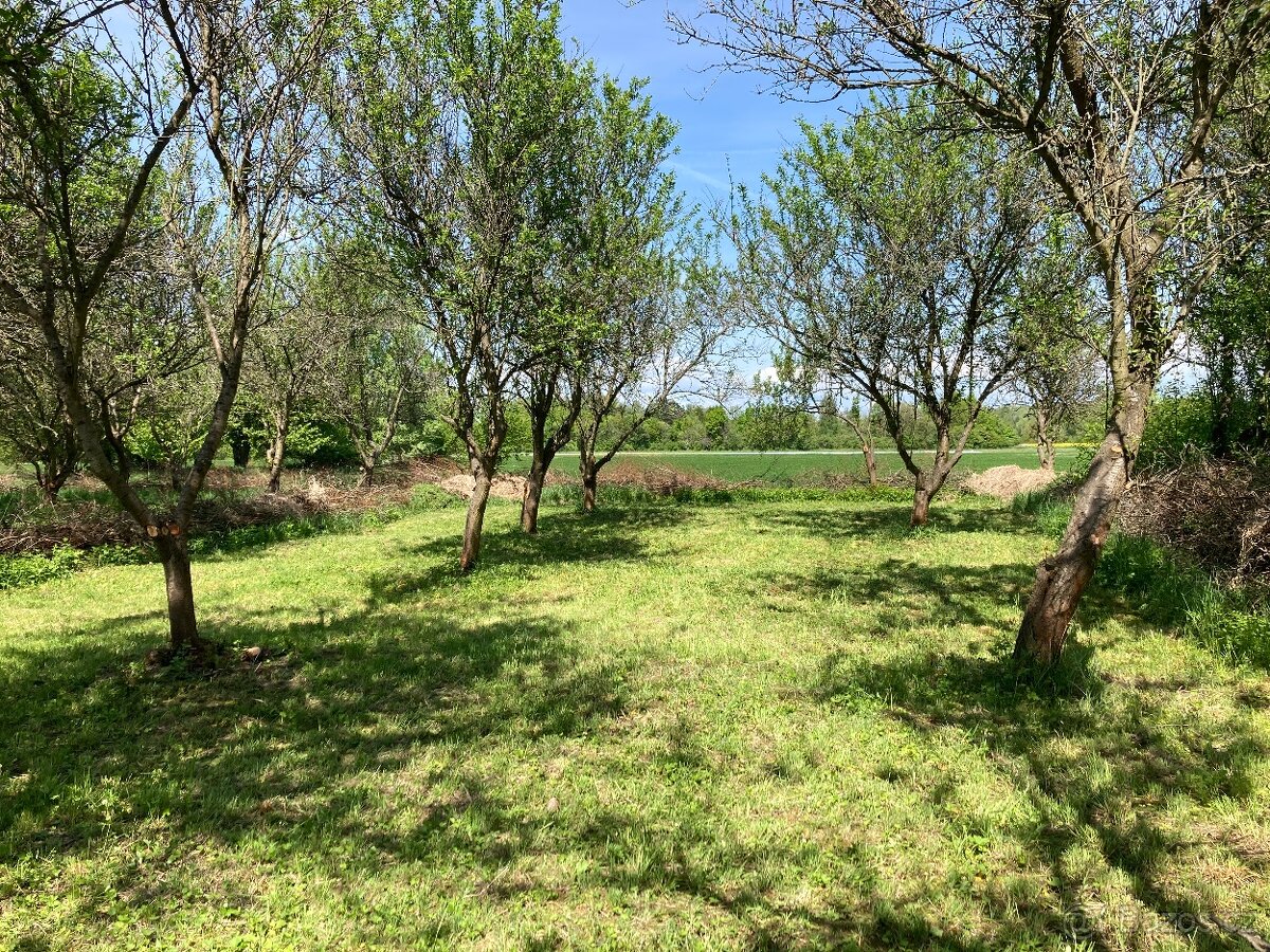 Pronájem zahrady 500 m2 – Olomouc – Řepčínské louky