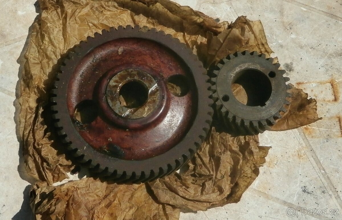 Volha 24
