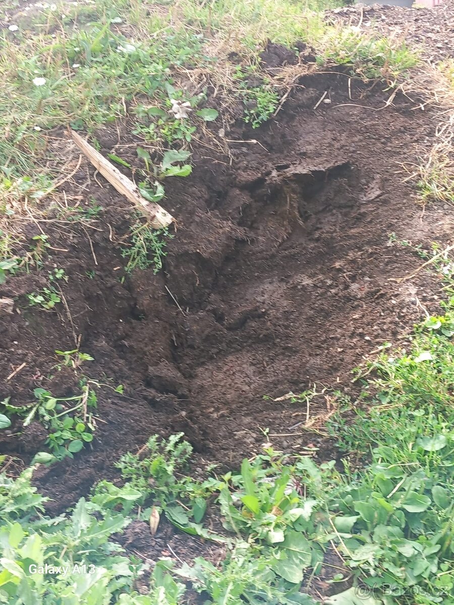 Darují
