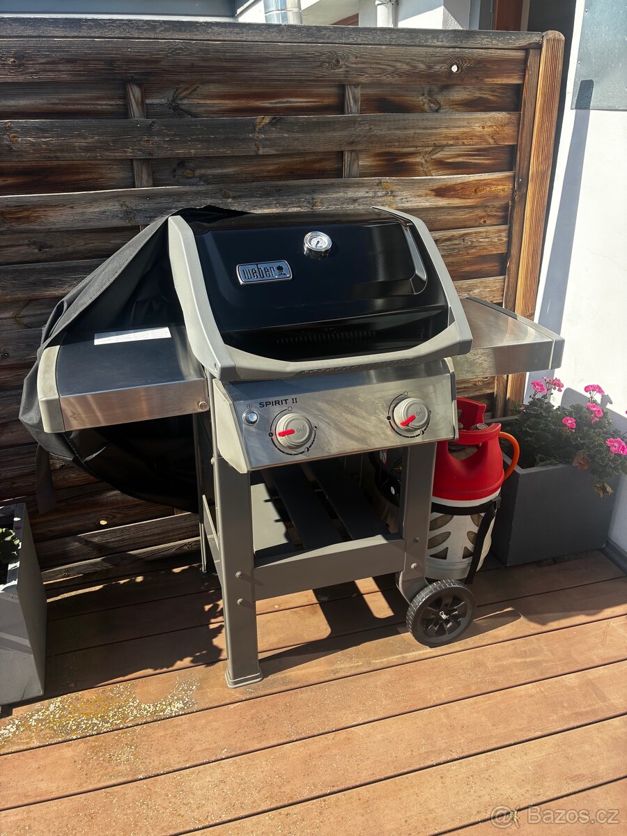 Gril Weber - Spirit II 210 GBS