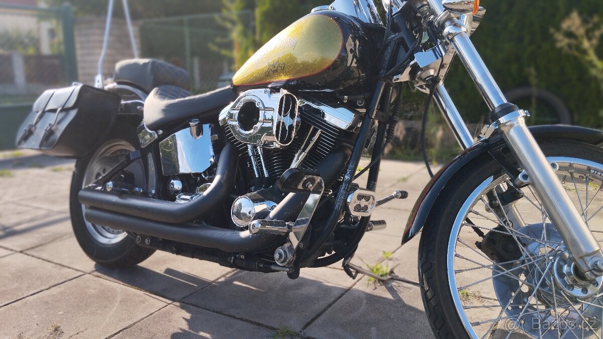 Harley Davidson softail