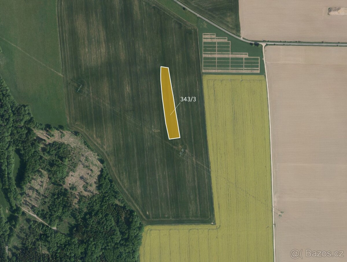 Zemědělská půda, prodej, Popovec, Řepníky, Ústí nad Orlicí