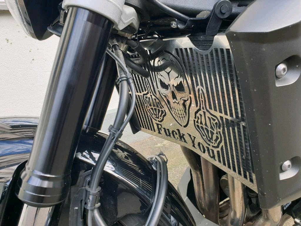 Kryt chladiče cestovní Vlastní vzor, logo nejlepší ceny