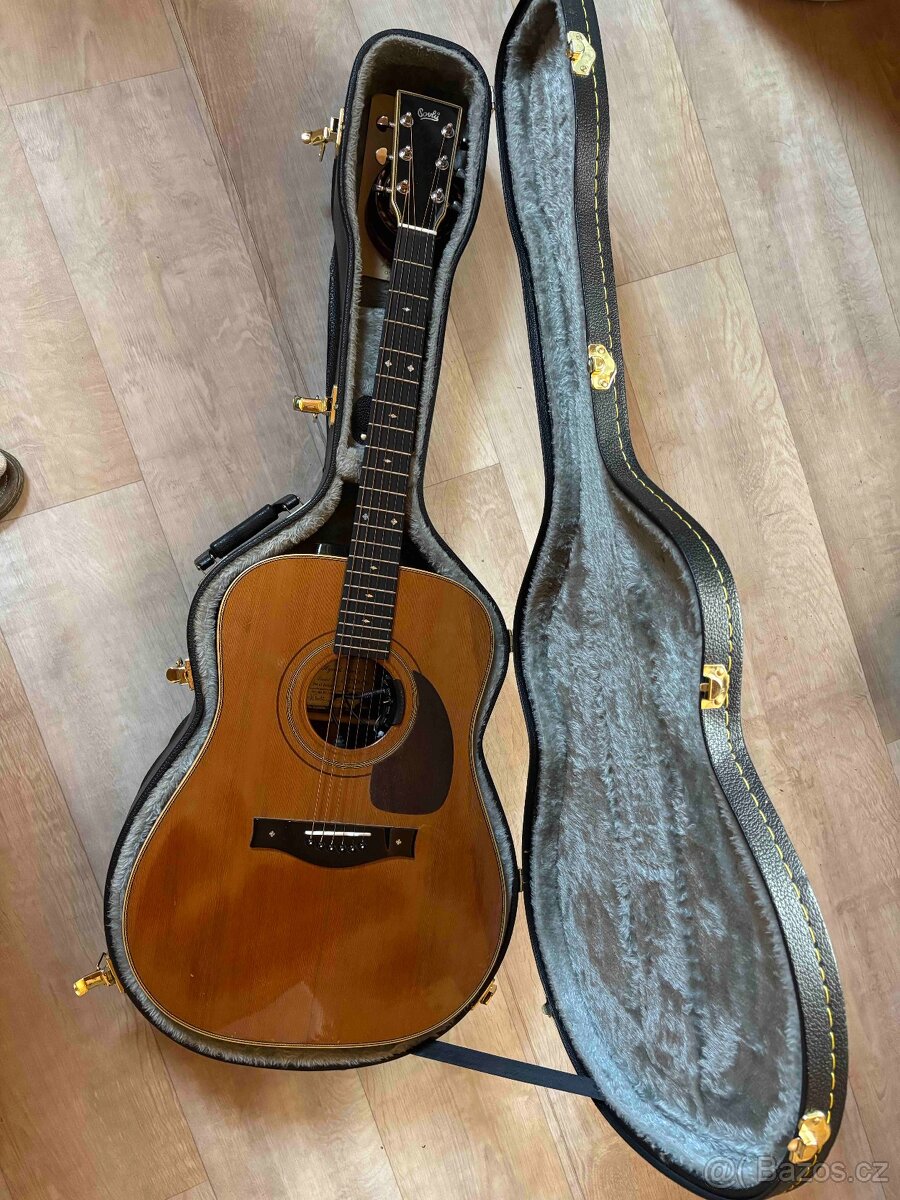 Kytara Pavlů celo masiv Cedr