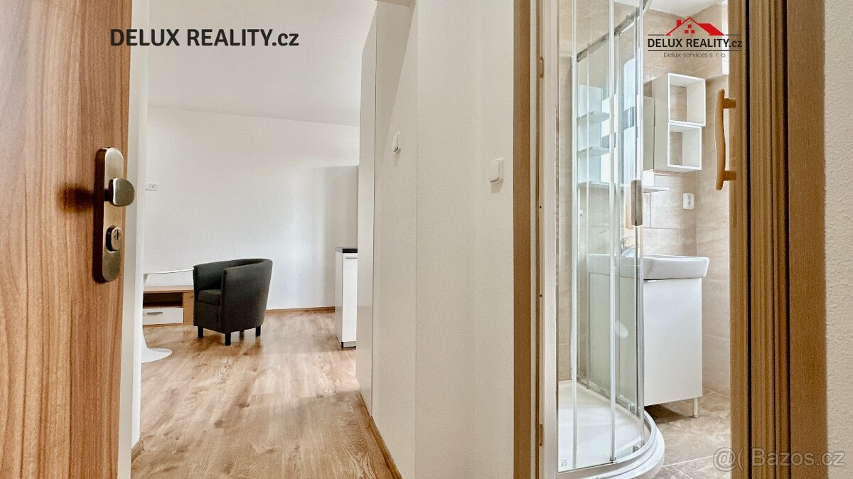 Byt 1+kk, ul. Růženy Svobodové