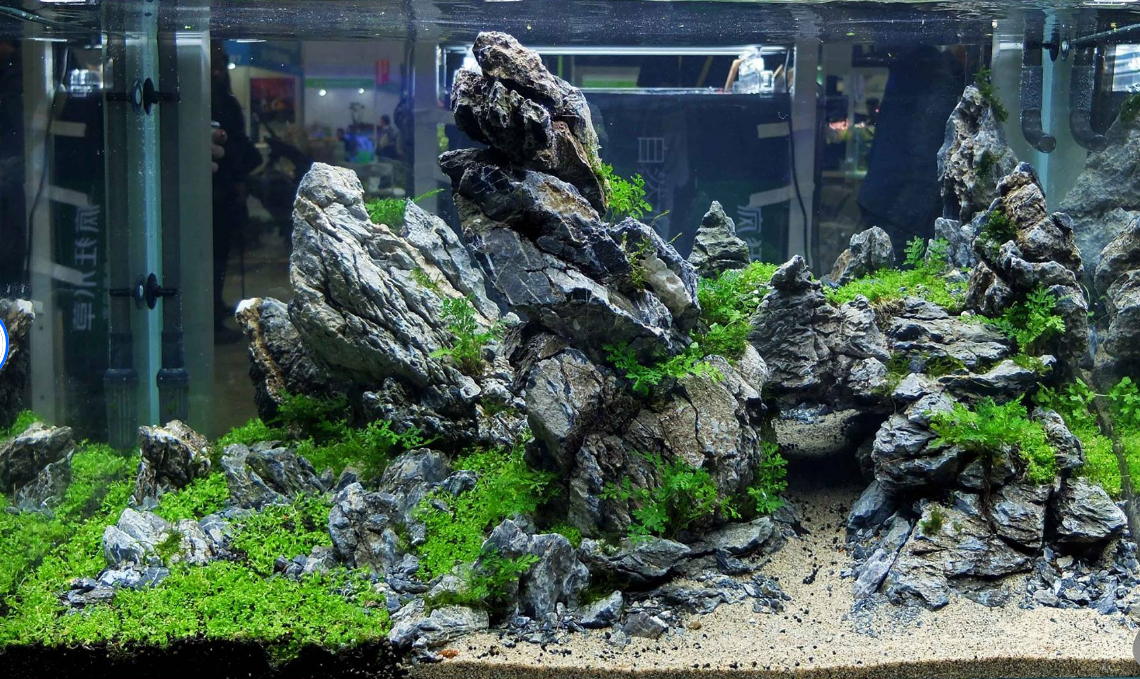 Seiryu stone + ADA Amazonia substrát