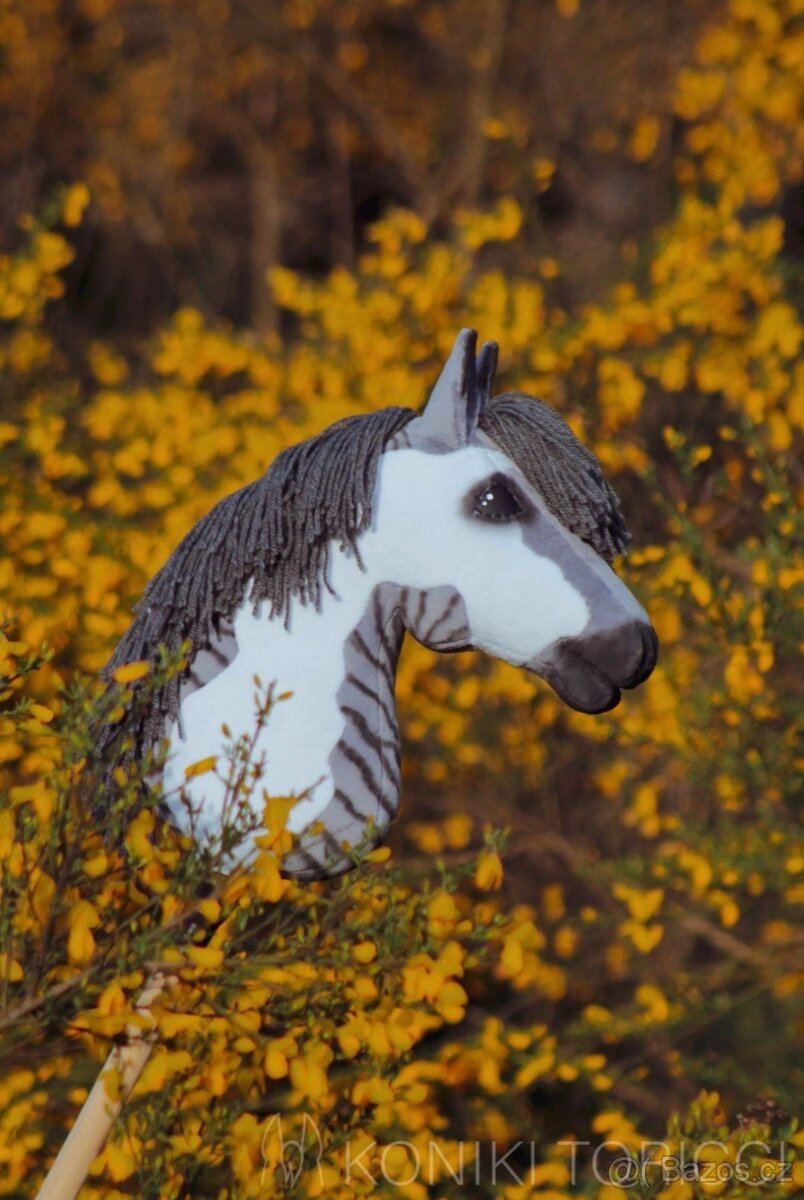 Hobby horse
