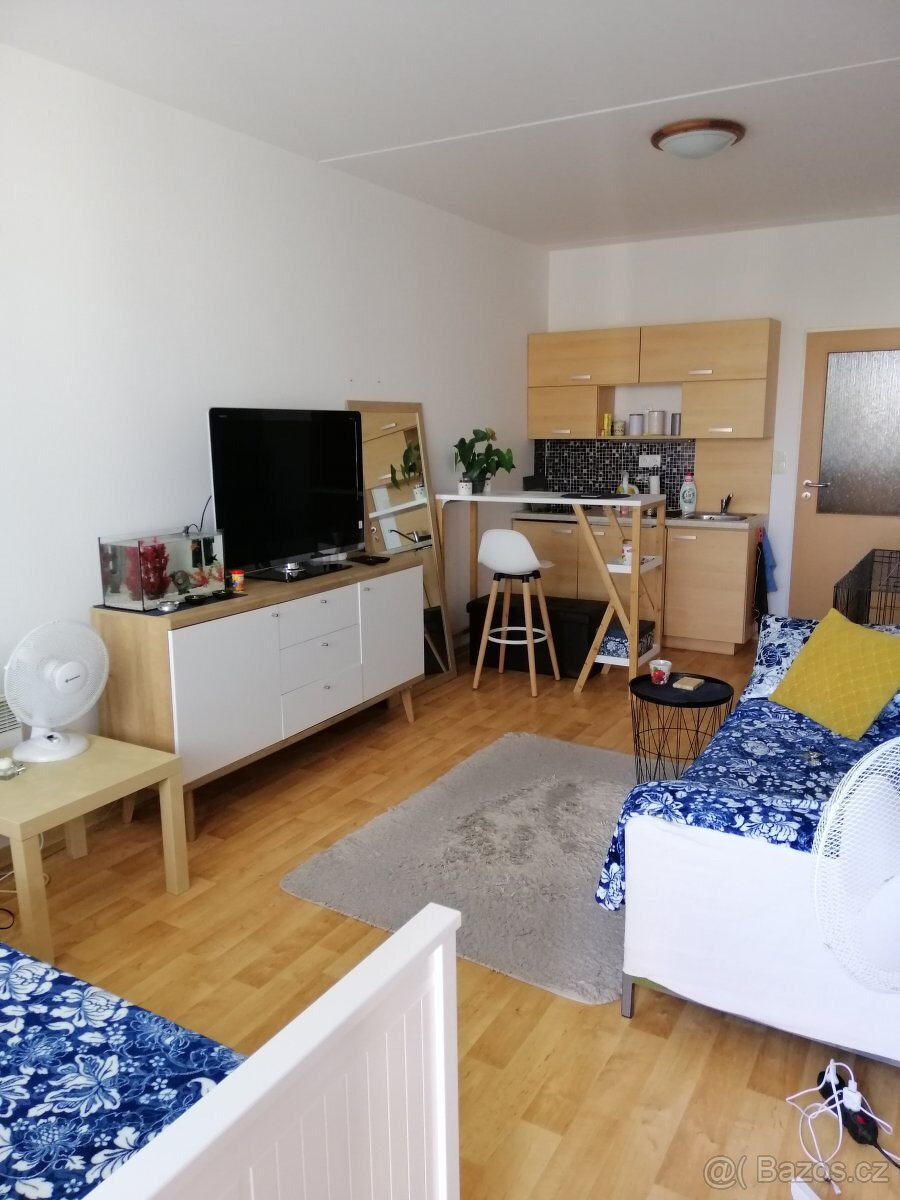 Pronájem bytu 1+kk, Kavaléristů, Hodolany, 12300Kč/měs, 26 m
