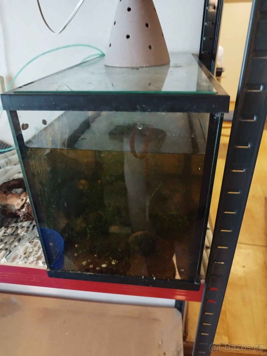 Akvarium